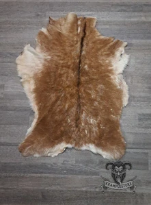Hnědá koza