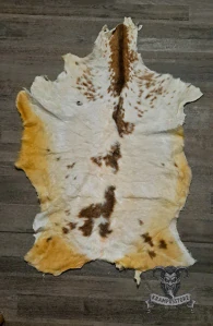 Koza bílá strakatá
